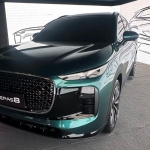 Chery_lepas_8_automotuber